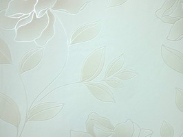 Soft Image 舒芙樂 壁紙 NPP256502