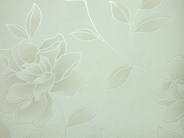 Soft Image 舒芙樂 壁紙 NPP256503