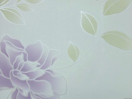 Soft Image 舒芙樂 壁紙 NPP256504