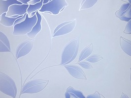 Soft Image 舒芙樂 壁紙 NPP256505