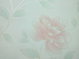 Soft Image 舒芙樂 壁紙 NPP256506