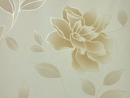 Soft Image 舒芙樂 壁紙 NPP256507