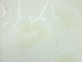 Soft Image 舒芙樂 壁紙 NPP256602