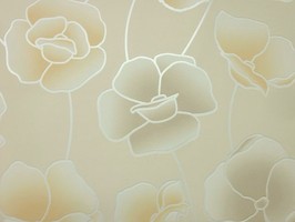 Soft Image 舒芙樂 壁紙 NPP256605