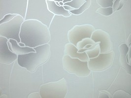 Soft Image 舒芙樂 壁紙 NPP256606