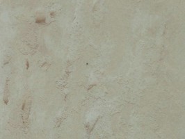 Winton 3.0 磚家系列 3 塑膠地磚 C1801