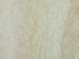 極光2.0 原木長條地磚 塑膠地磚 塑膠地板 BL9713
