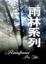帝臣 雨林系列2.0 塑膠地磚