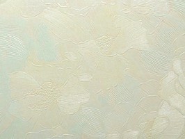 SaKuRa 山克拉 壁紙  116-71279