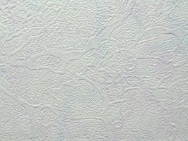 SaKuRa 山克拉 壁紙  139-71218