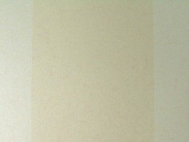 PRAGYUE 壁紙 2-560602-0cm