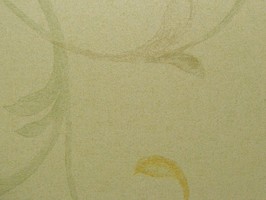 PRAGYUE 壁紙 22-560205-70cm