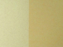 PRAGYUE 壁紙 23-560606-0cm
