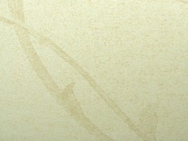 PRAGYUE 壁紙 26-560202-70cm