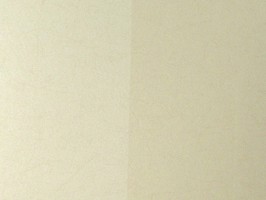 PRAGYUE 壁紙  27-560604-0cm