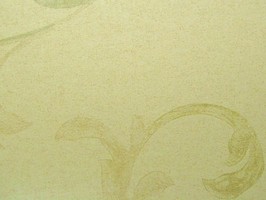 PRAGYUE 壁紙  29-560204-70cm