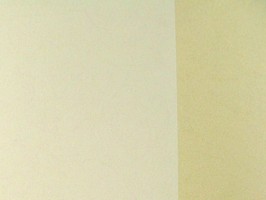 PRAGYUE 壁紙  40-560605-0cm