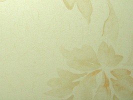 PRAGYUE 壁紙  46-560403-35cm
