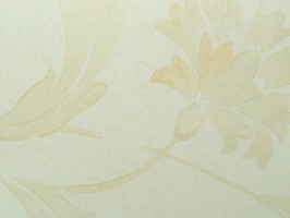 PRAGYUE 壁紙  50-560401-35cm