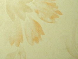 PRAGYUE 壁紙  53-560405-35cm