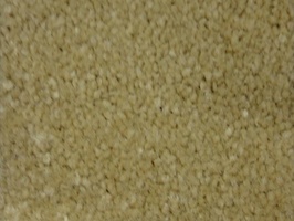 Modern 摩登系列 地毯 F1480