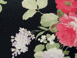 SOFIA蘇菲亞 壁紙  52-UA4906