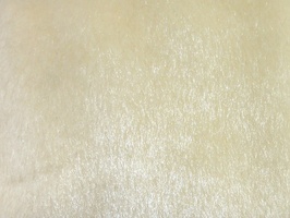 FRTUNE VALLEY 家飾布 窗簾  3502-1