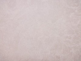 FORTE 福樂 壁紙 21211