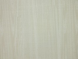 FORTE 福樂 壁紙  21228