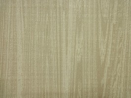 FORTE 福樂 壁紙  21231