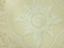 Villa Medici 梅迪奇莊園 壁紙  VM50501