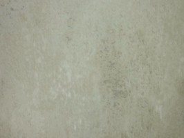 Villa Medici 梅迪奇莊園 壁紙  VM51202