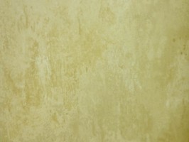 Villa Medici 梅迪奇莊園 壁紙  VM51203