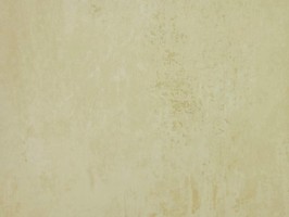 Villa Medici 梅迪奇莊園 壁紙  VM51207