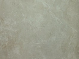 Villa Medici 梅迪奇莊園 壁紙  VM51308