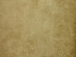 Villa Medici 梅迪奇莊園 壁紙  VM52401
