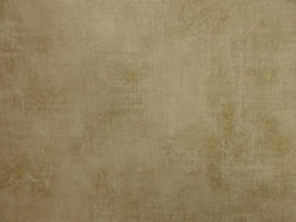 Villa Medici 梅迪奇莊園 壁紙  VM52404