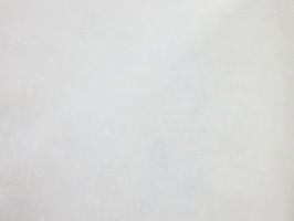 Villa Medici 梅迪奇莊園 壁紙  VM52405