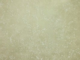 Villa Medici 梅迪奇莊園 壁紙  VM52408