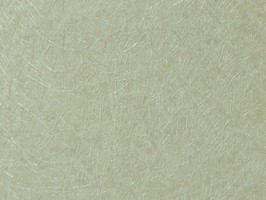 Hormony 鼎極 壁紙  21855