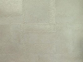 Carnival 嘉年華 壁紙  CN126501