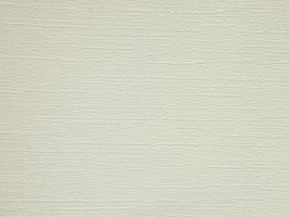 VIDIA 威迪亞 壁紙 VD-2120