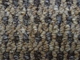 溫莎。伯斯NATURE VIOS 地毯 110