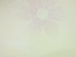 VIDIA 威迪亞 壁紙  VD-2150