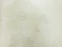 HAN DAO 壁紙  HDD-6831