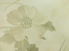 HAN DAO 壁紙  HDD-6834