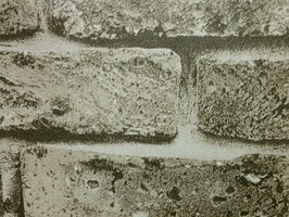 PRIMARY 返朴歸真 壁紙  PR-0033