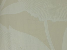 b.b barbara becker 芭芭拉 壁紙  769 609