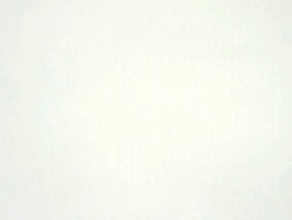 Pastel 壁紙 PSL 5066 01 17
