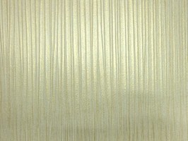 MARCEL 波龍 壁紙  68604
